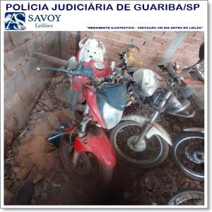 Lote do leilo Leilo da Policia Judiciaria de Guariba-SP