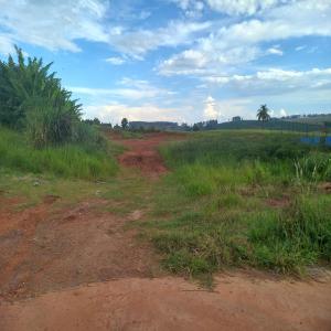 Lote do leil�o Leil�o da Prefeitura Municipal de Sarutaia-SP