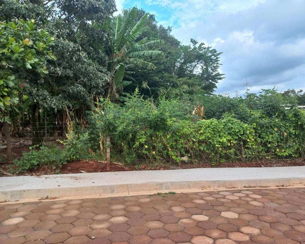 TERRENO EM SARUTAI�/SP